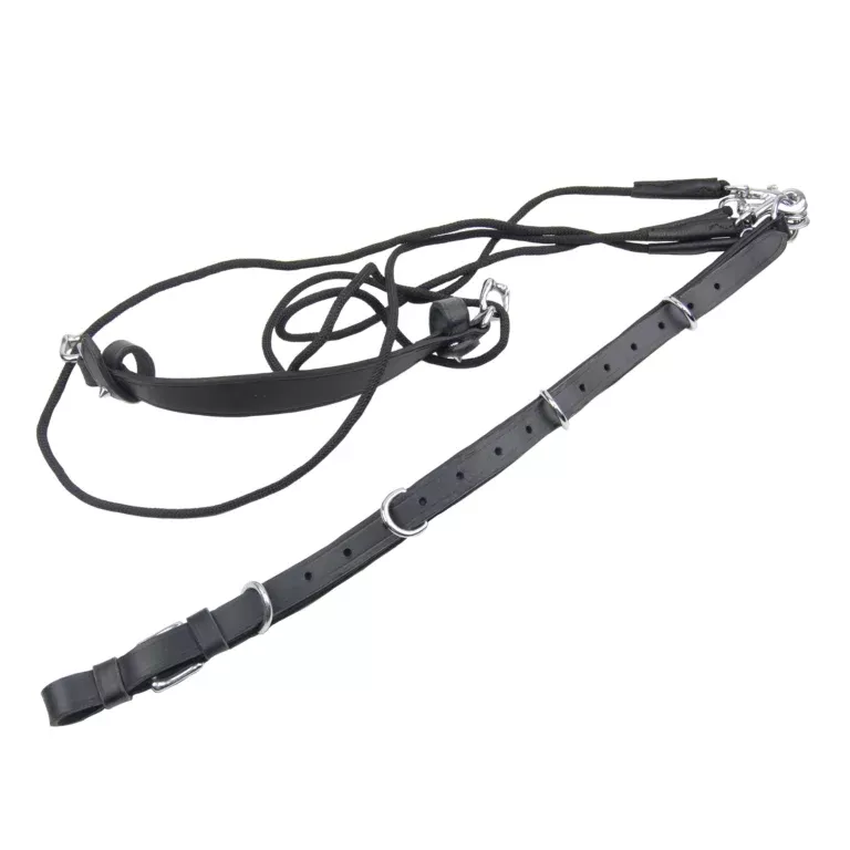 Ideal Gogue Lunging Aid