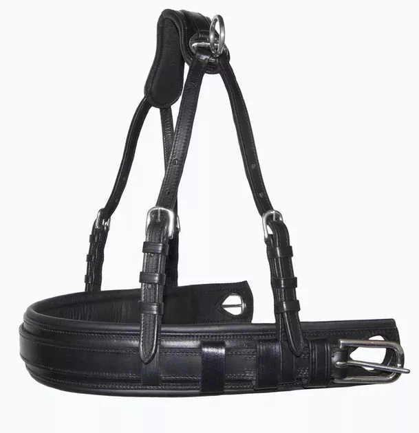 Ideal Luxe Breastplate