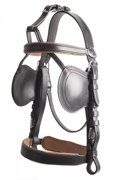 Ideal Marathon Bridle