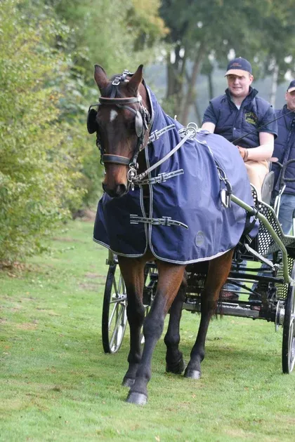 Ideal Water Resistant Rug Full Neck Exercise Driving Rug