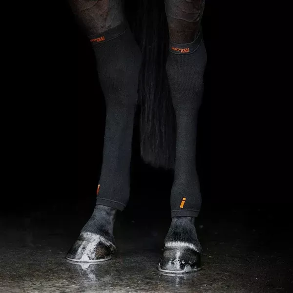 Incrediwear Hock Sleeves
