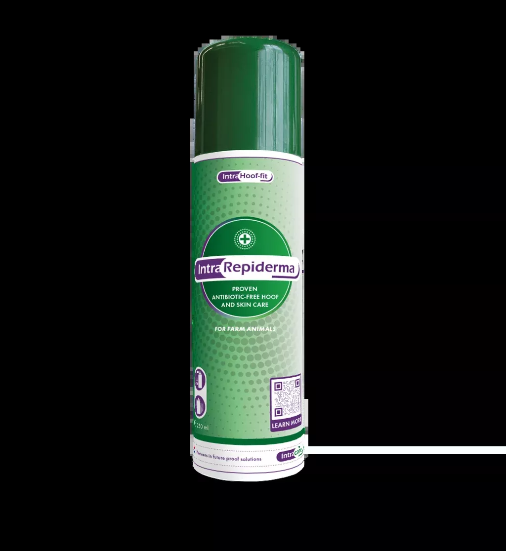 Intra Repiderma Spray