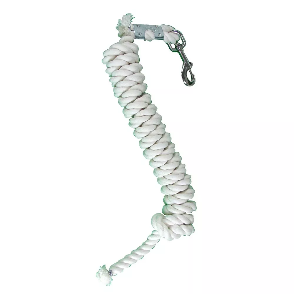 Intrepid White 10' Cotton Lead