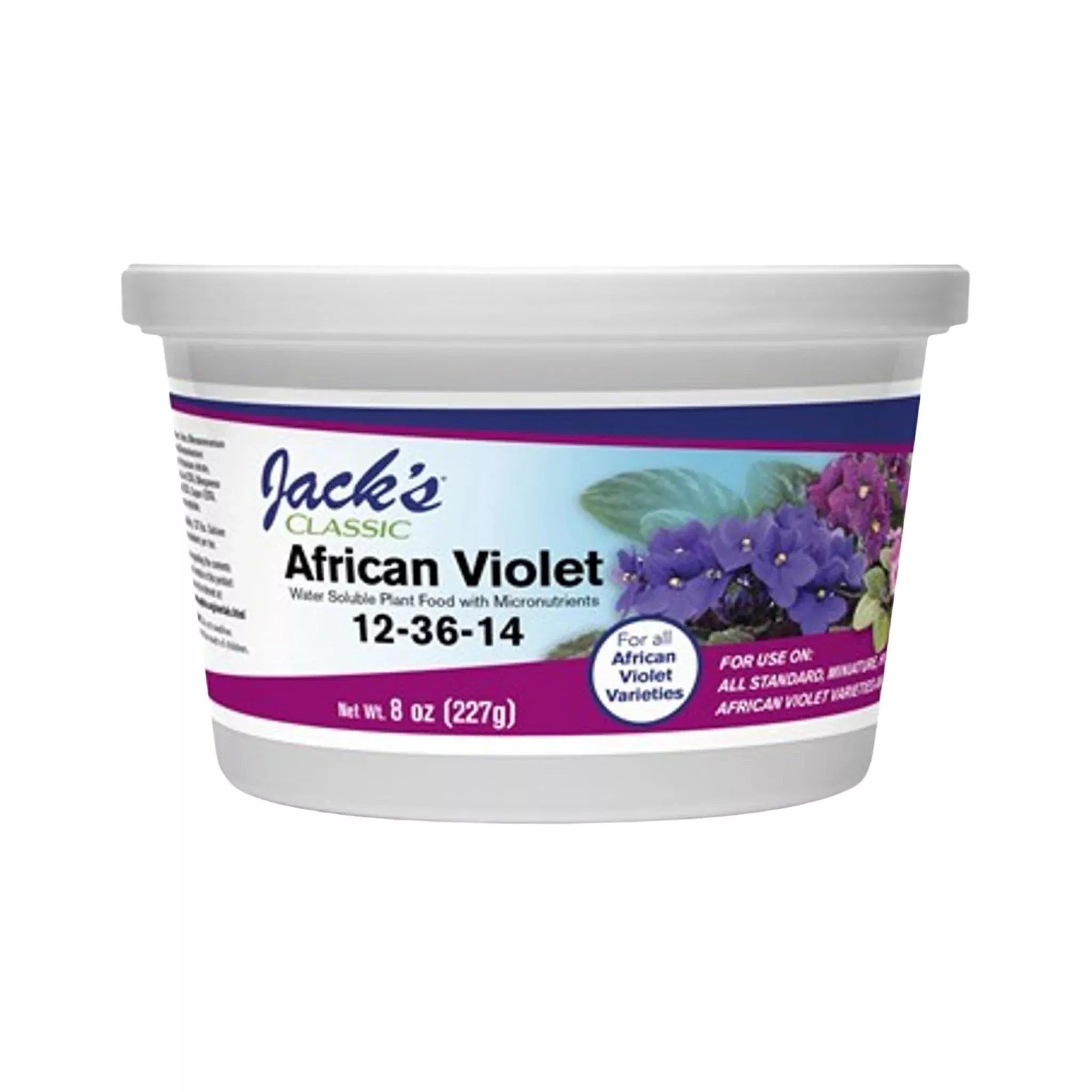 Jack's Classic African Violet 12-36-14