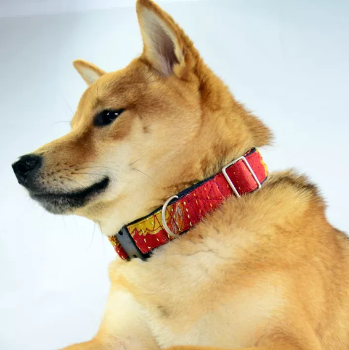 Kantha Dog Collar