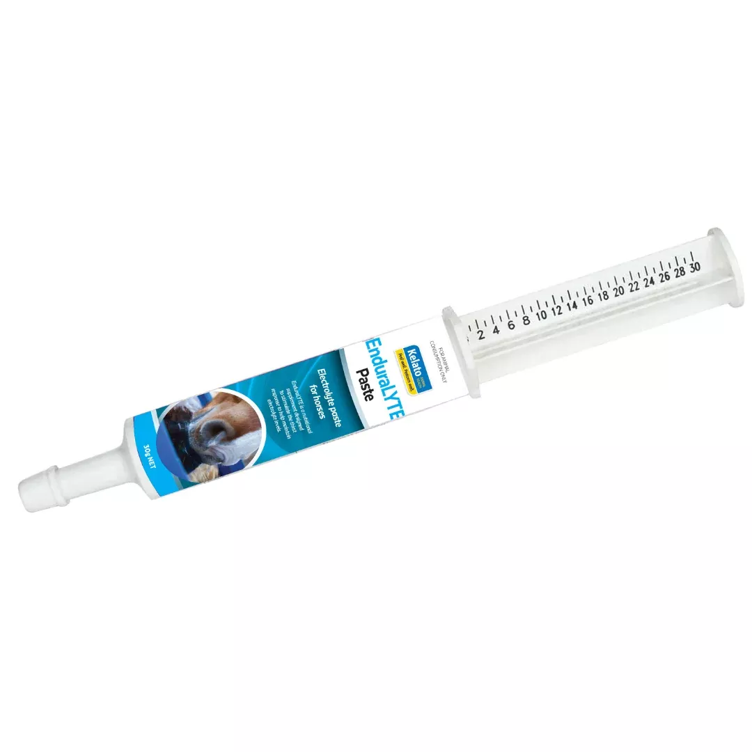 Kelato Enduralyte Paste