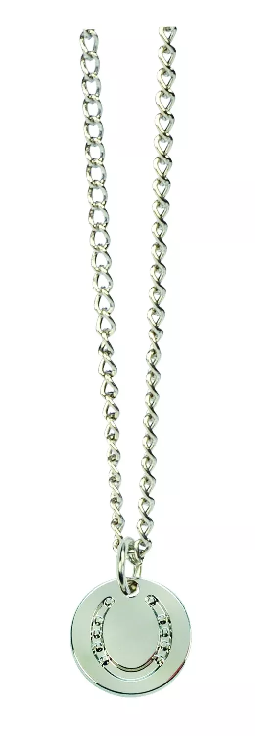 Kelley Horseshoe Pendant Necklace