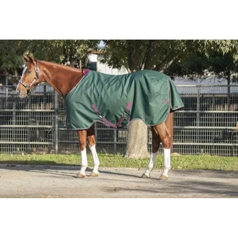 Kensington Signature Medium Weight Turnout – Hunter