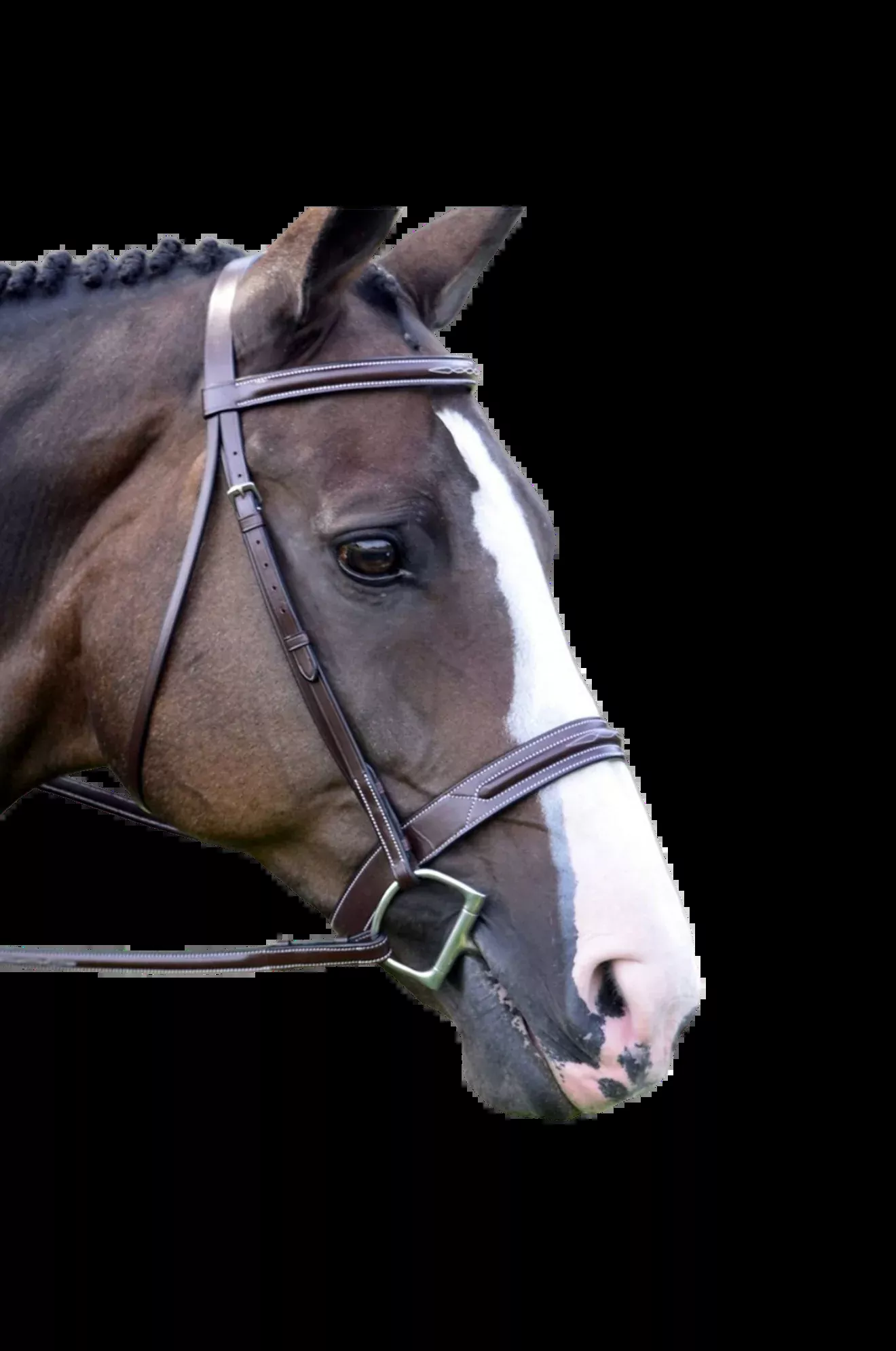 KL Sonoma Bridle Unpad/Round
