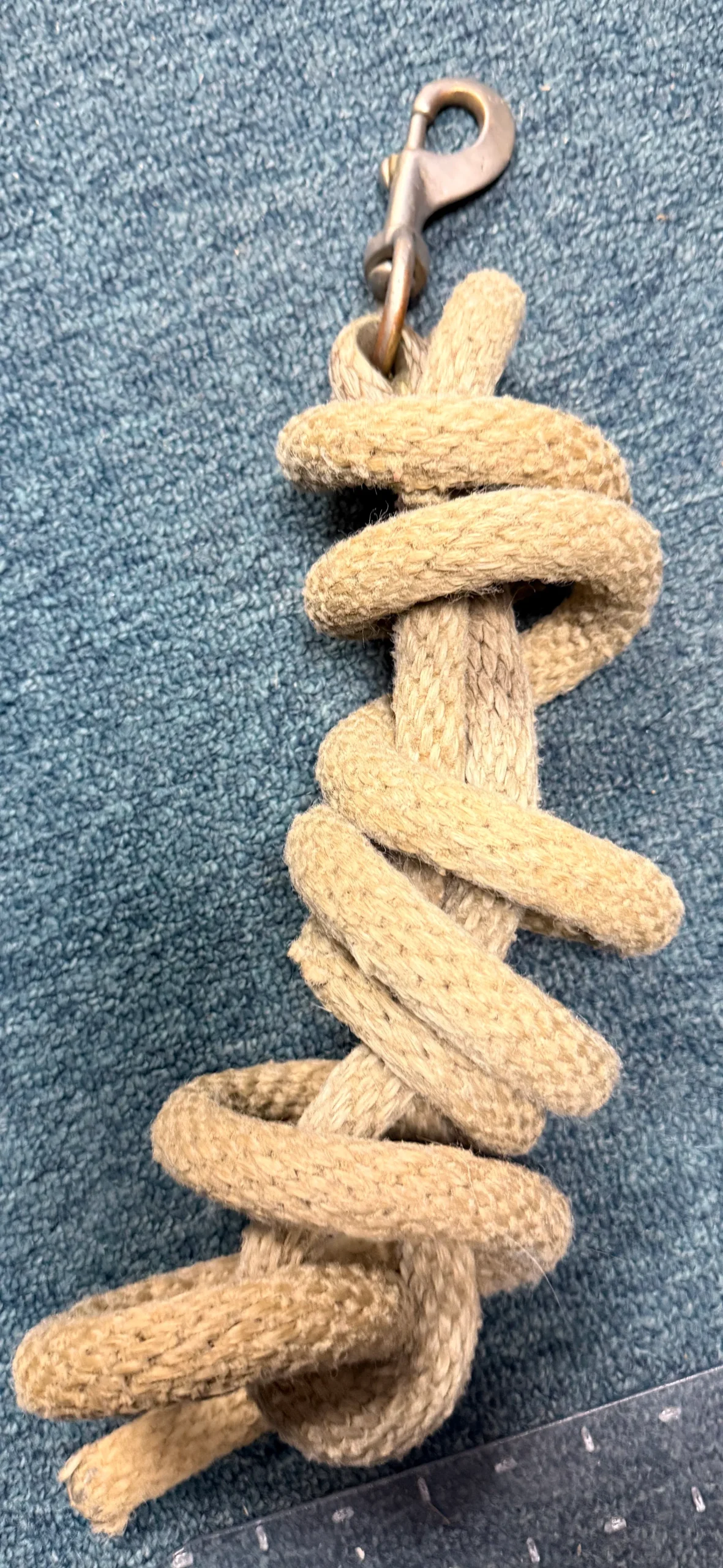 Lead rope with snap