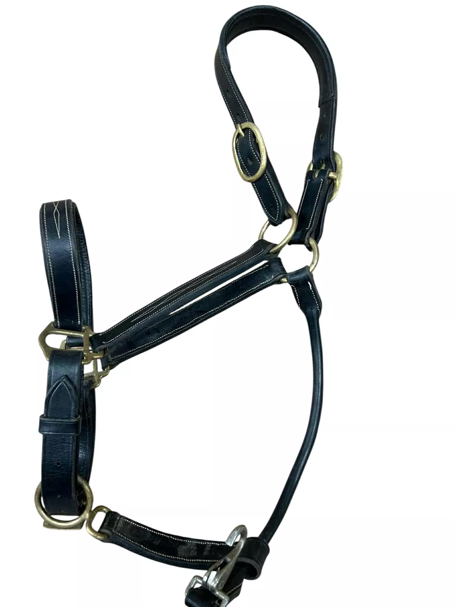 Leather Halter - Black - Full Size **BROKEN SNAP** - USED