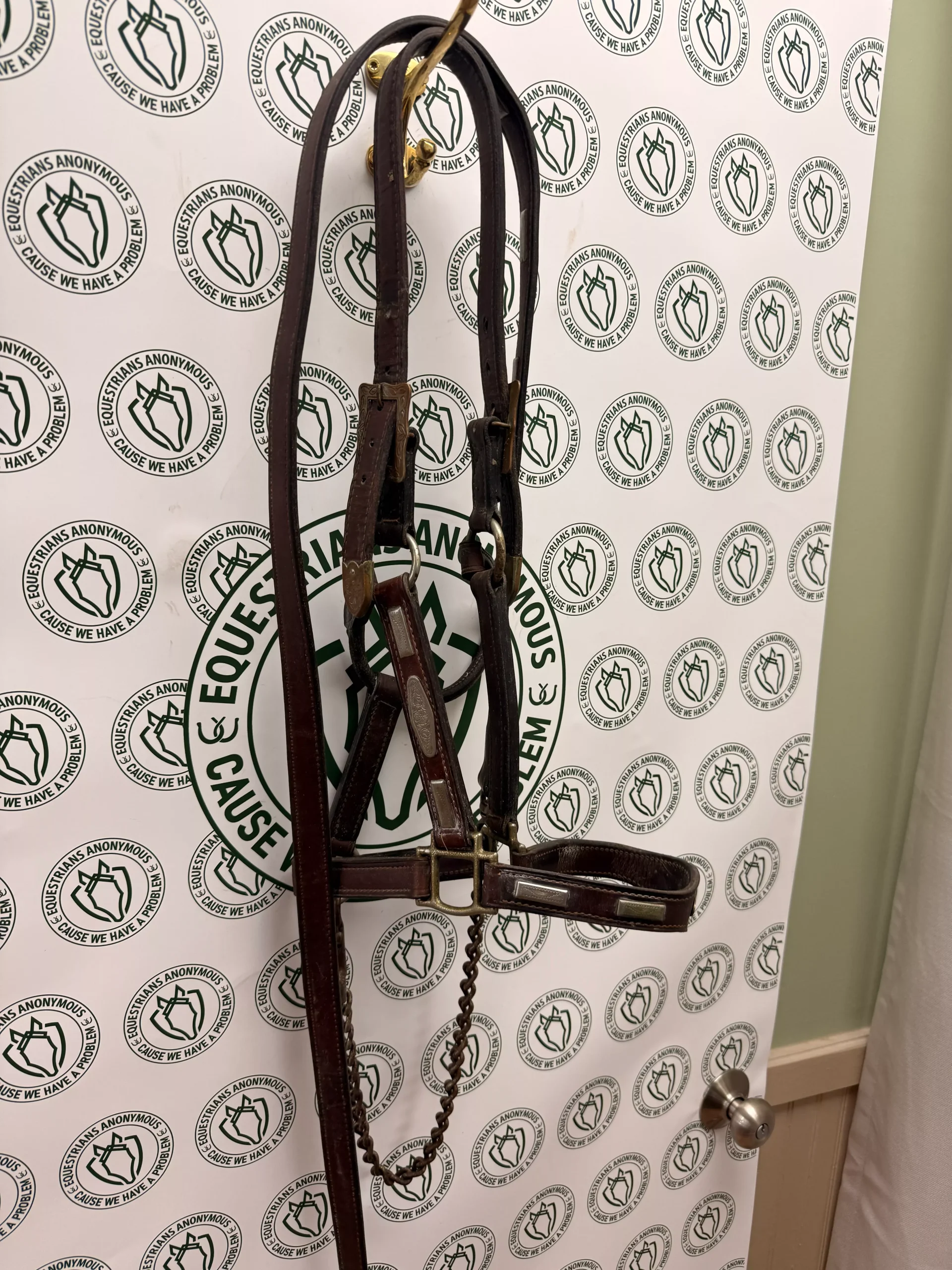 Leather Halter w silver with matching lead rope
