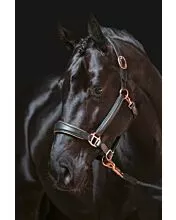 Leather head collar -Rosegold