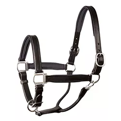 Leather Padded Halter- Oversized