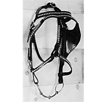 Leather Pigeon Wing Spotted Driving Bridle Draft