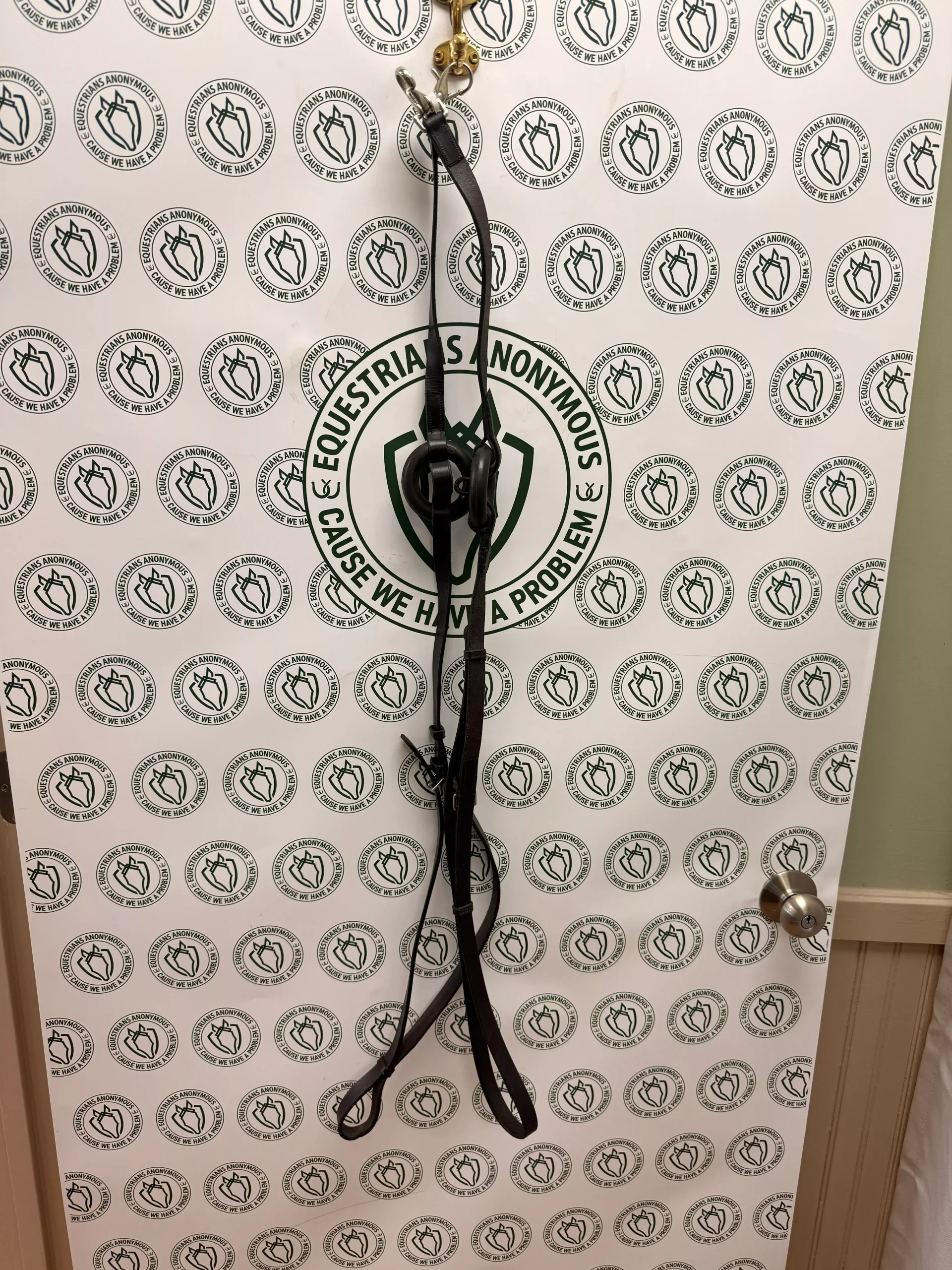 leather side reins with rubber donut and clips