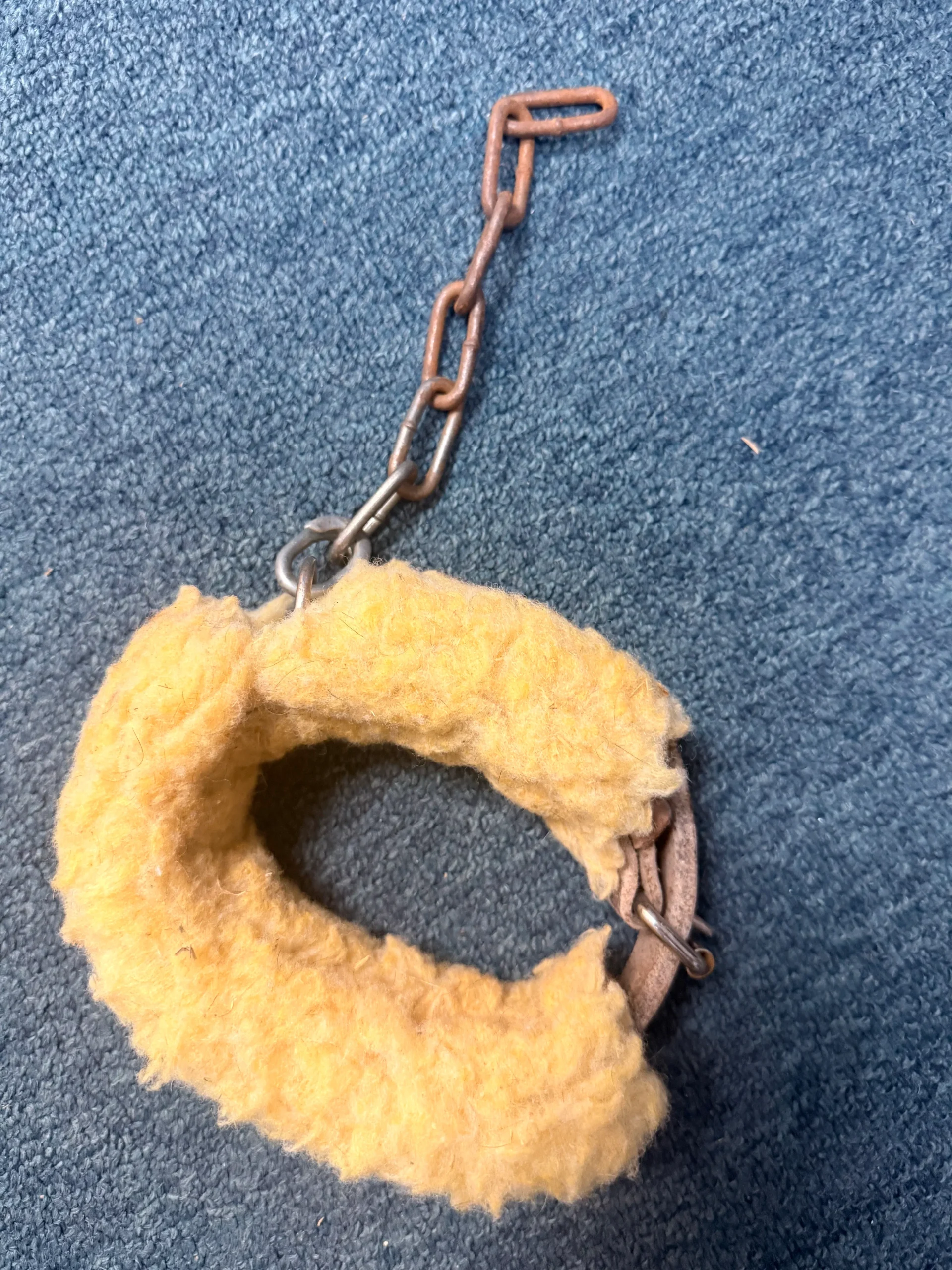 Leg pawing cuff with chain