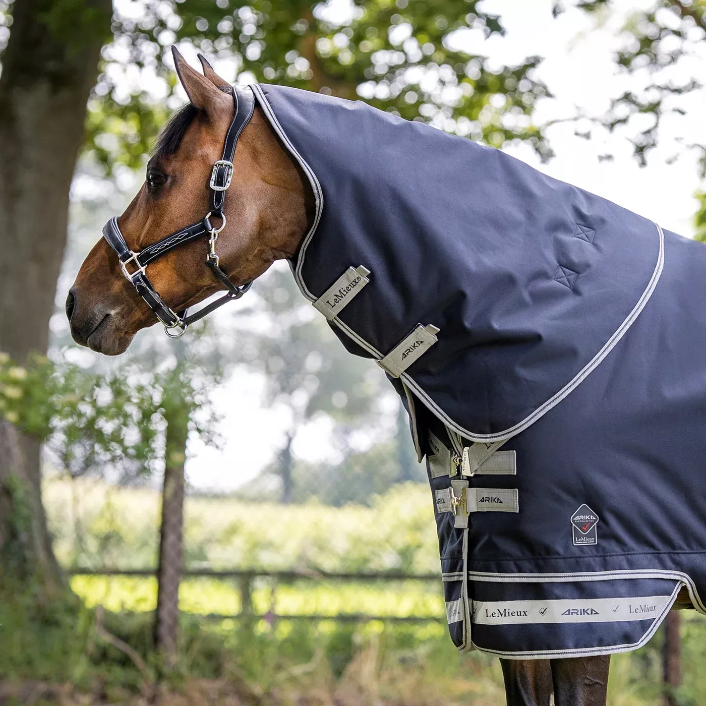 LeMieux Arika Featherweight Hood 0 g