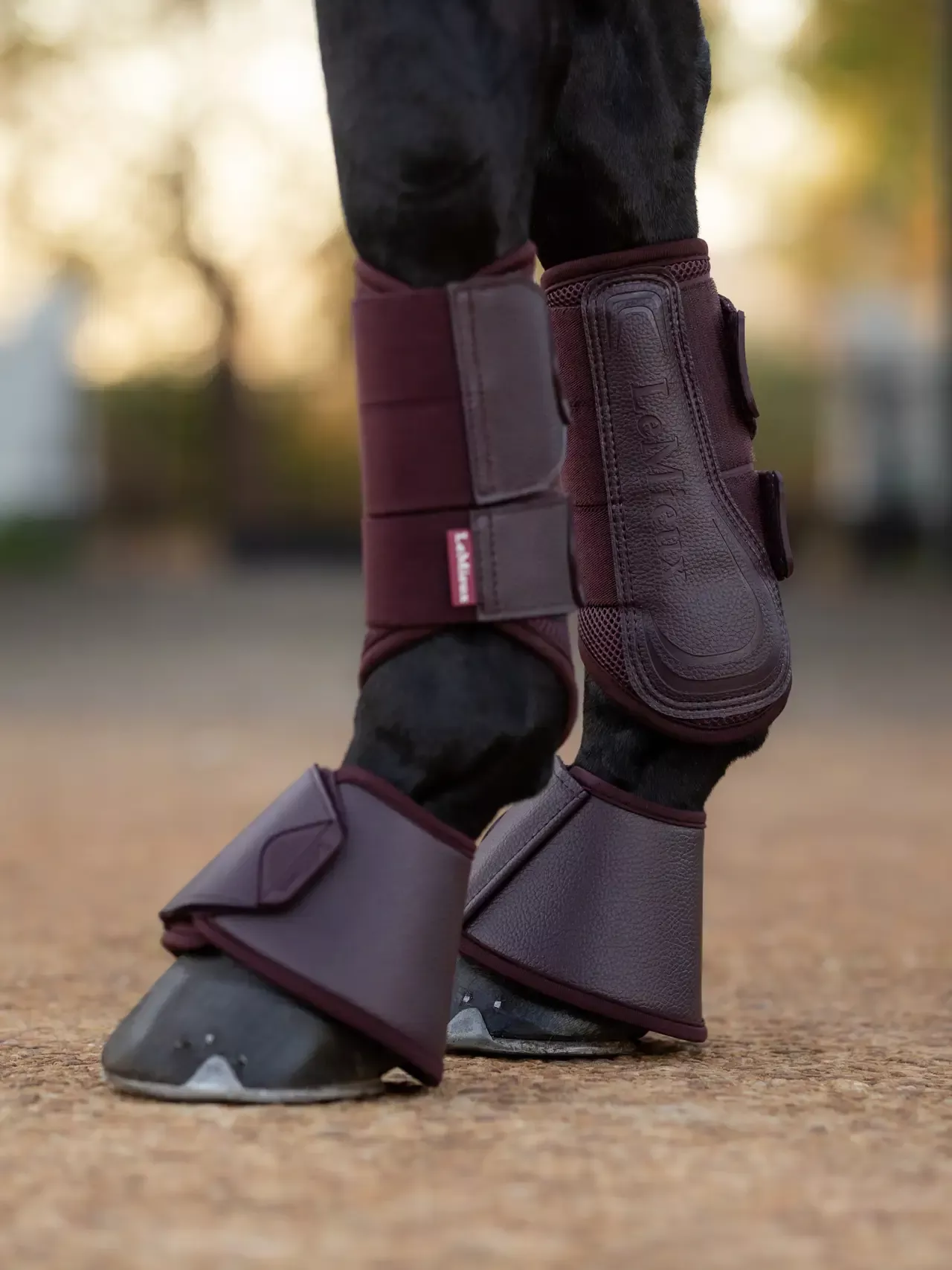 LeMieux Arika Over Reach Boots