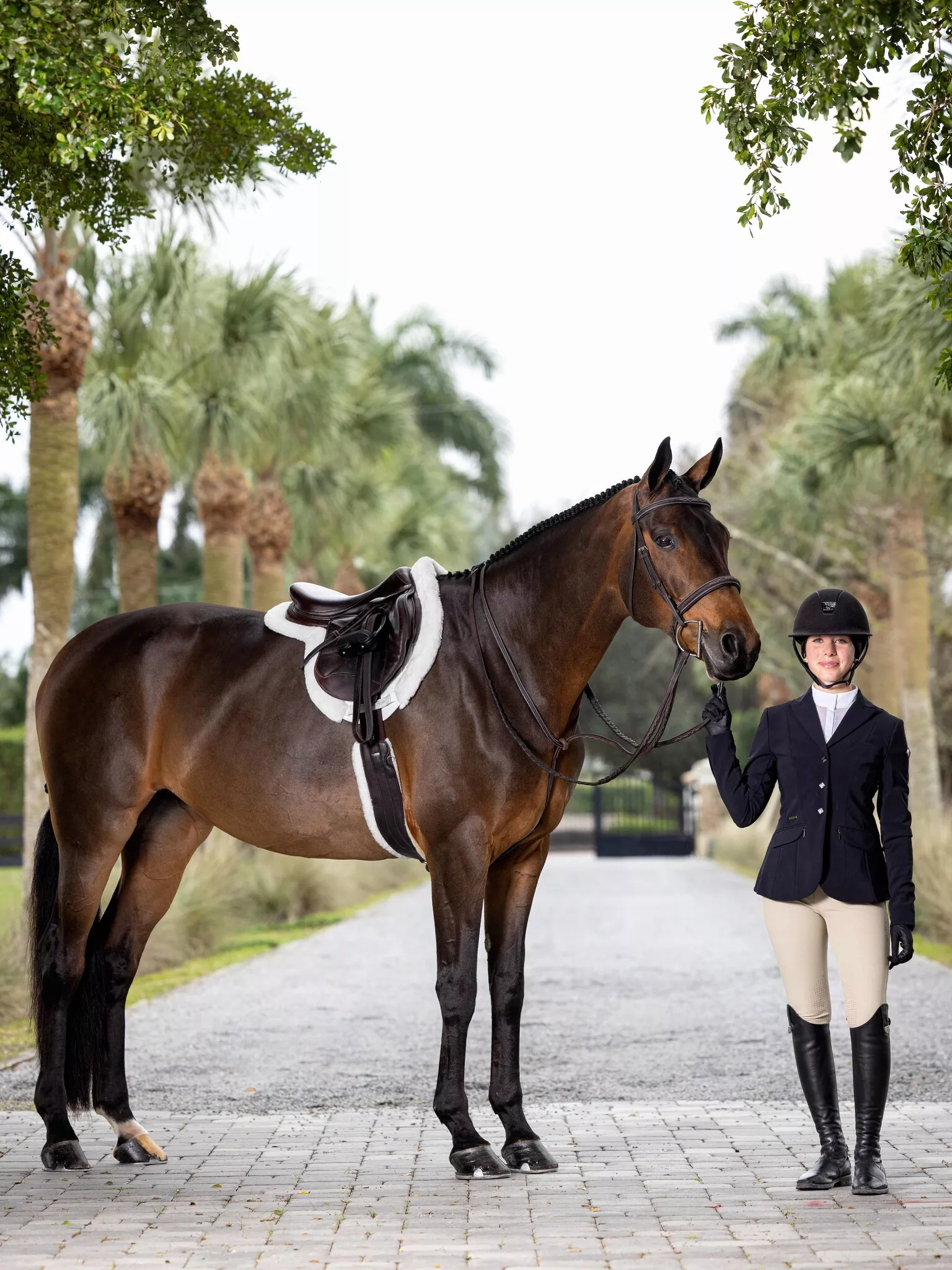 LeMieux - Hunter Standing Martingale -