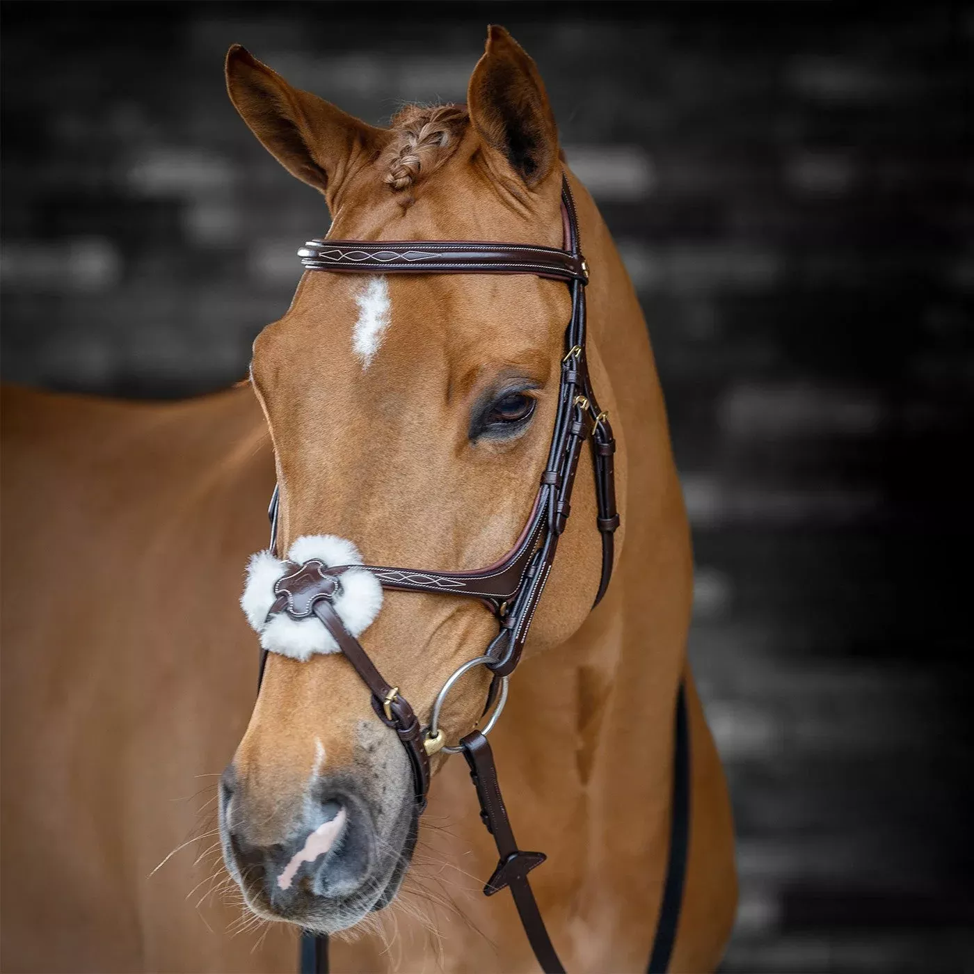 LeMieux Kudos Figure Eight Bridle
