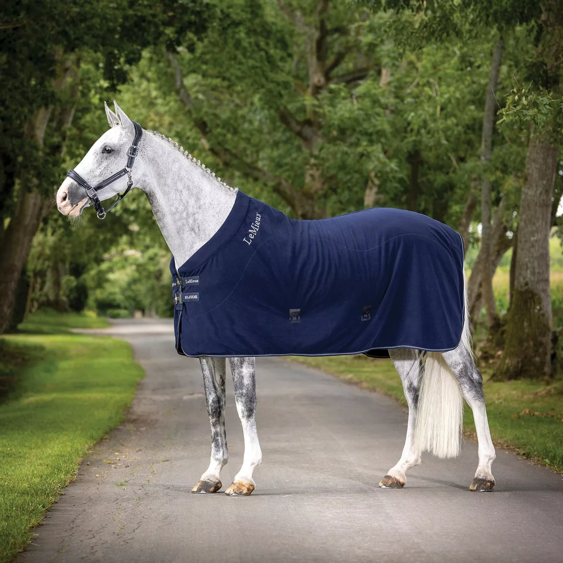 LeMieux Kudos Fleece Cooler Rug