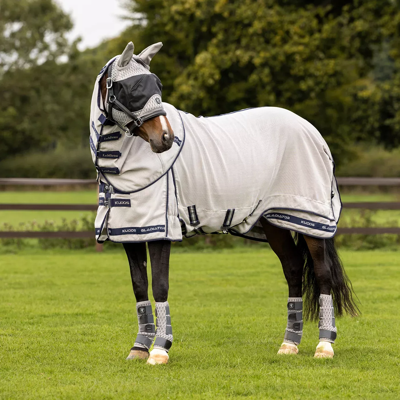 Lemieux Kudos Gladiator Fly Sheet