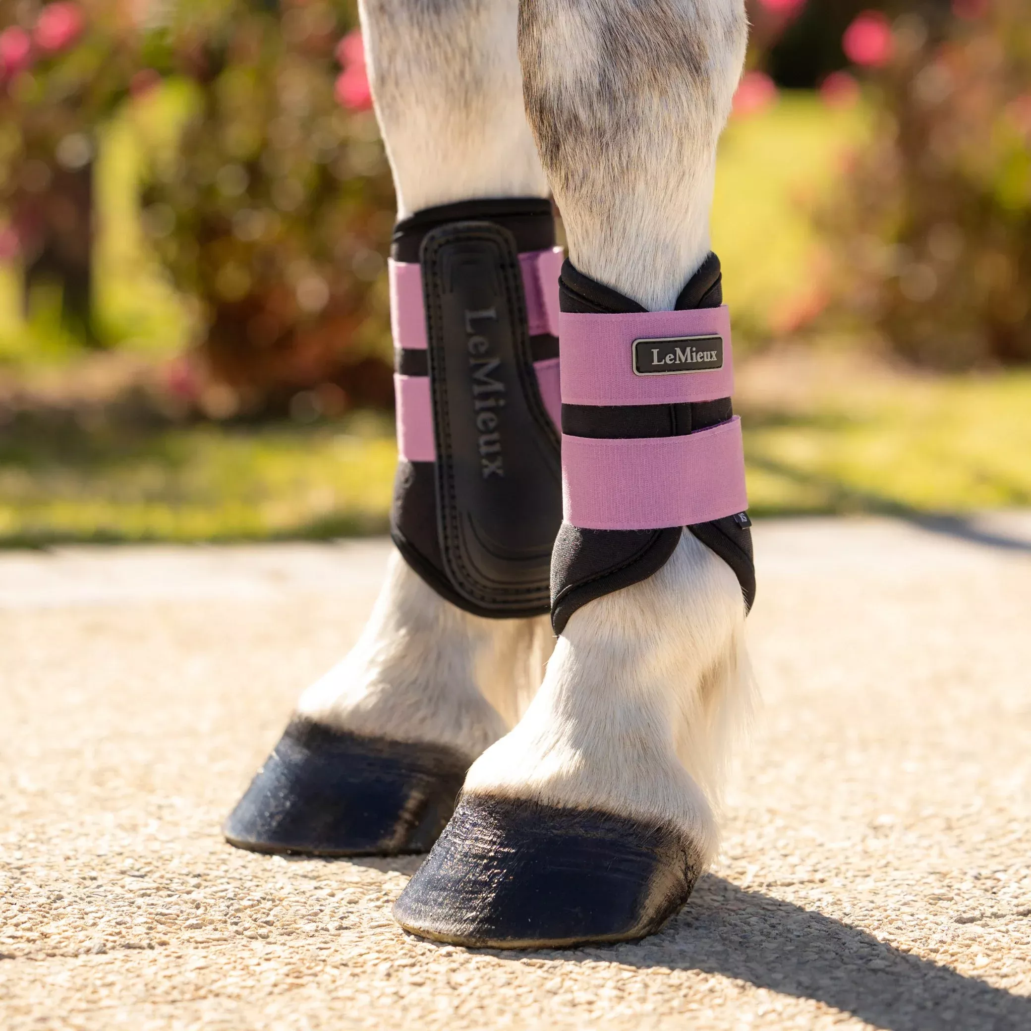 LeMieux Mini Air-Tek Grafter Brushing Boots