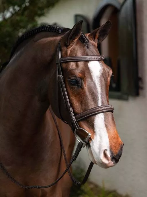 LeMieux - Stitched Hunter Bridle with Laced Reins -