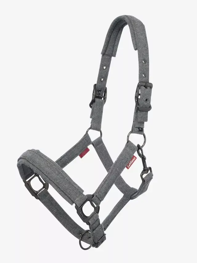 LeMieux - Winter 25' Aspen Headcollar
