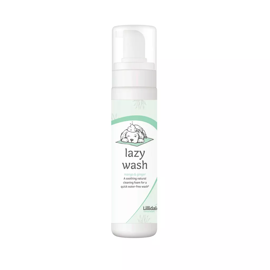 Lillidale Lazy Wash Foam