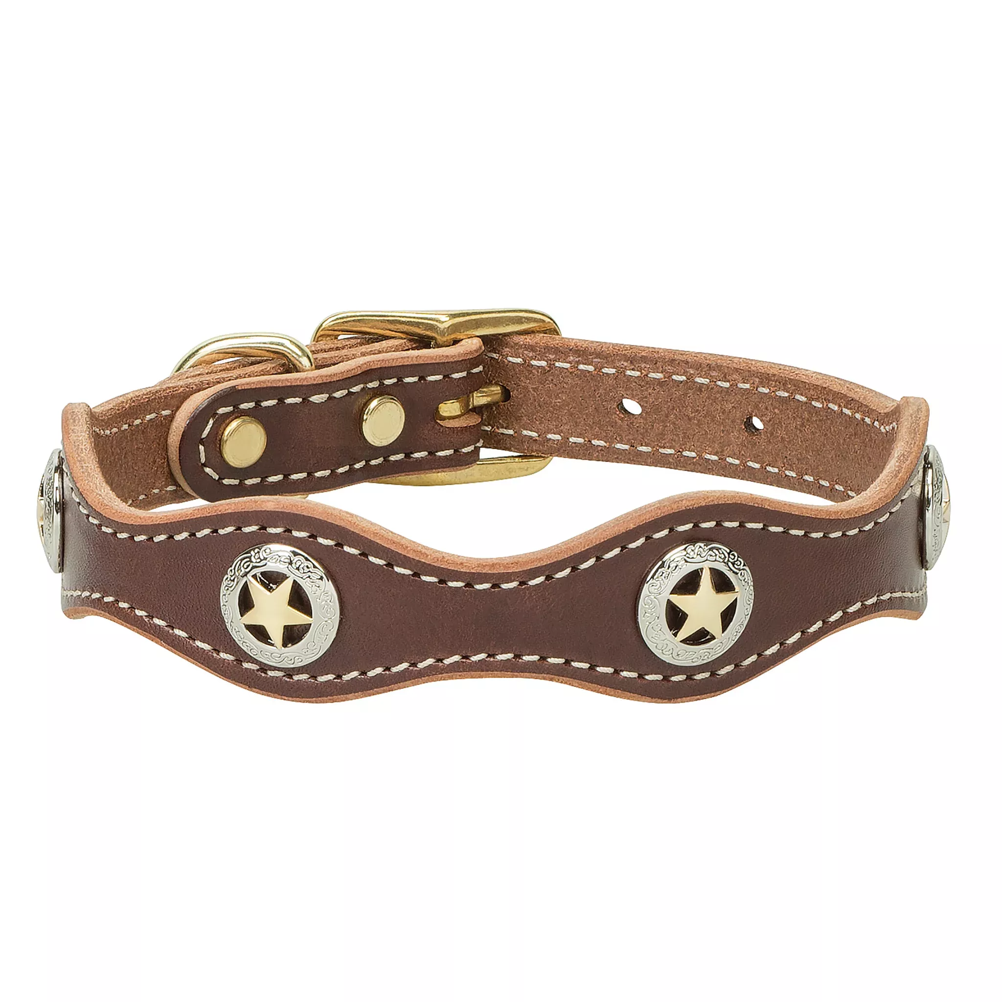 Lone Star Legend Dog Collar