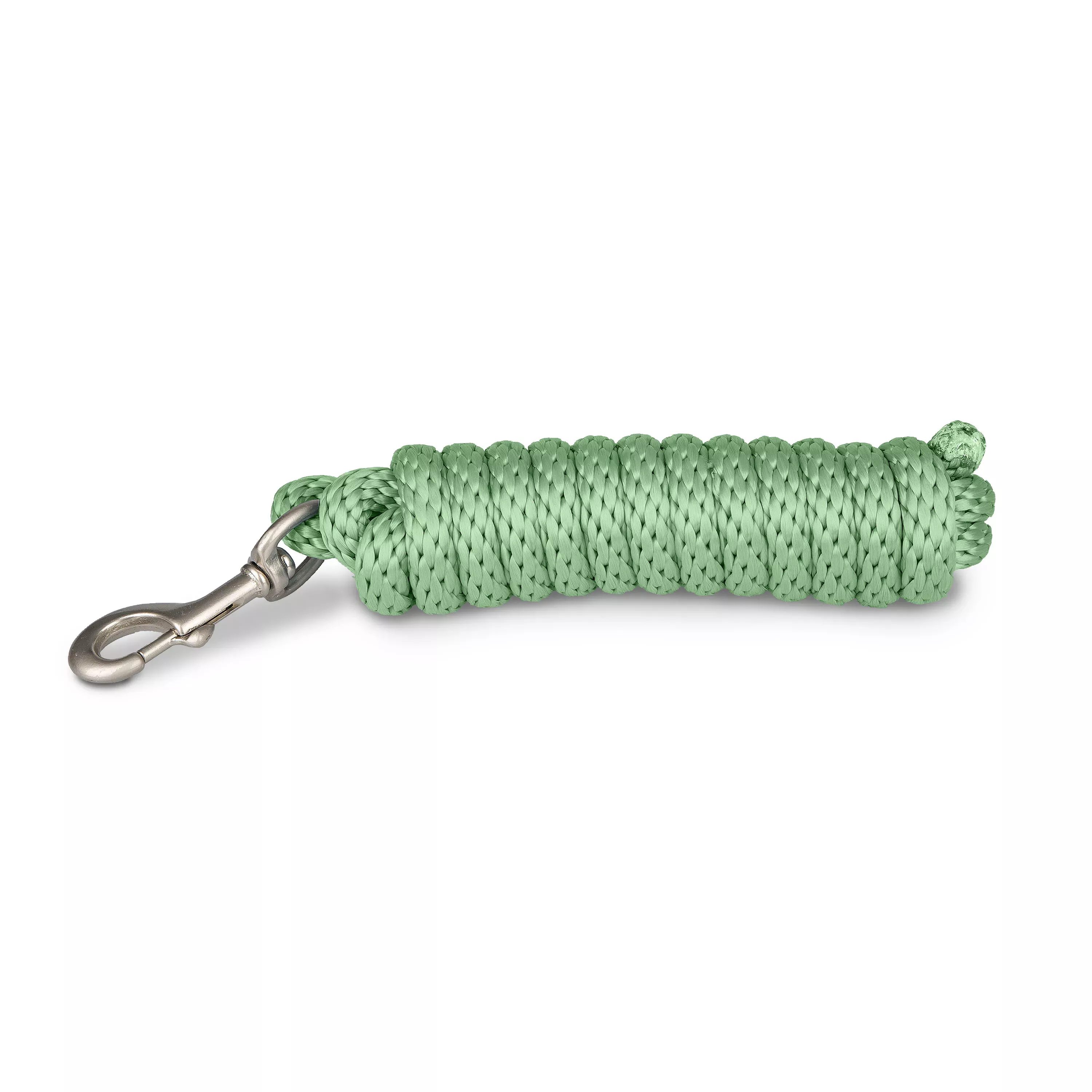Lucky 9ft Lead Line - Cactus