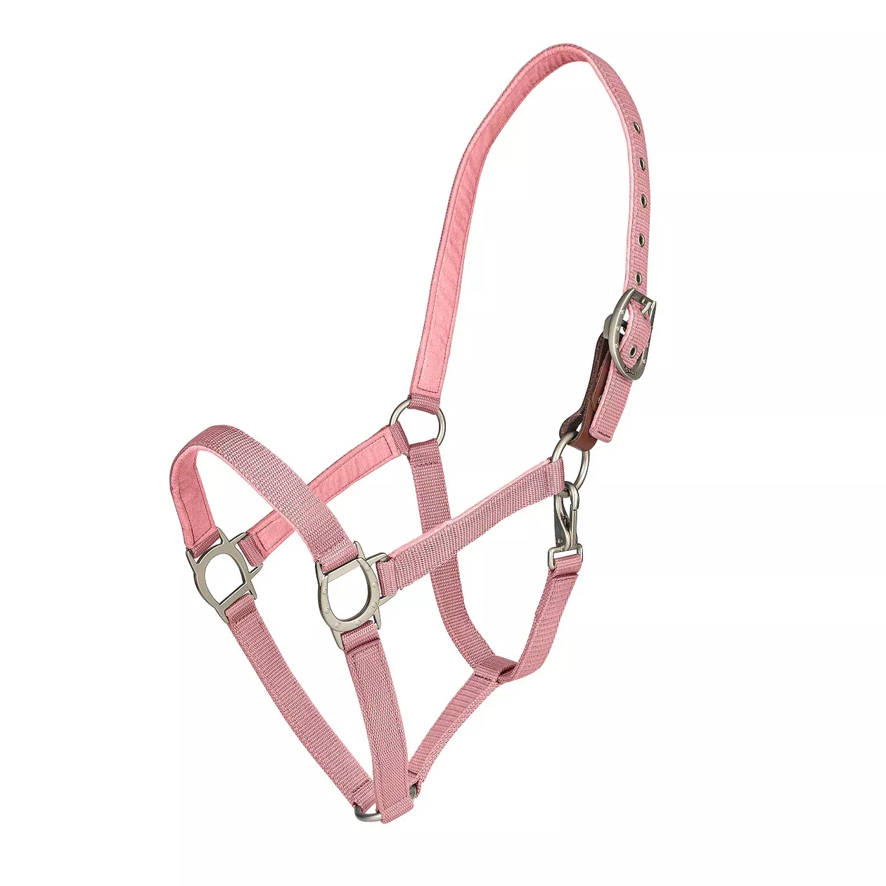 Lucky Breakaway Halter - Cactus