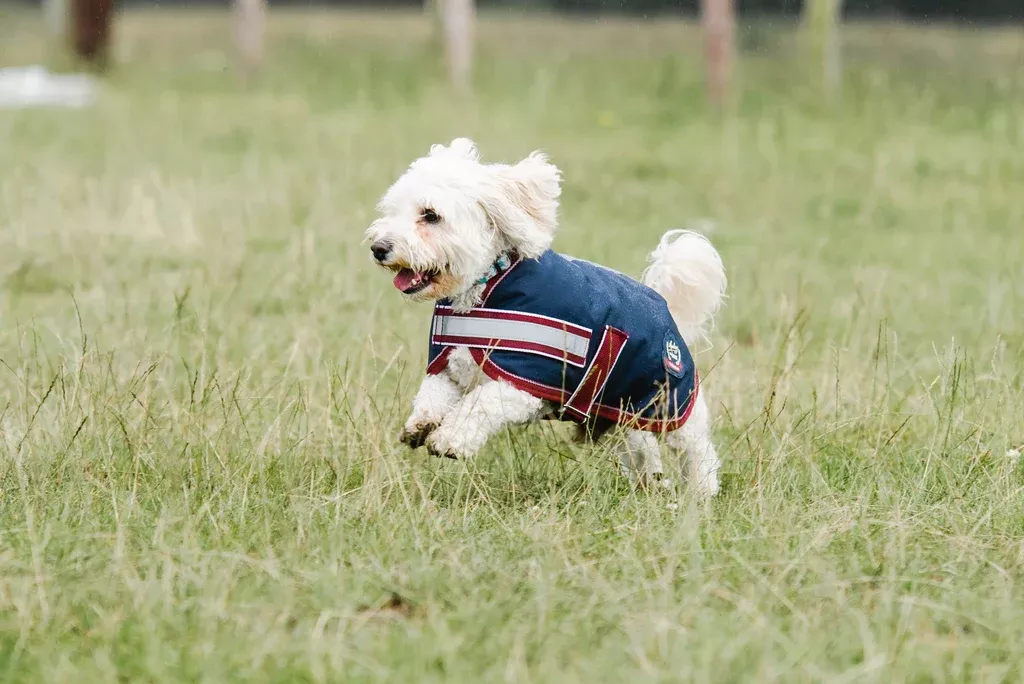 Mackey Buster Dog Coat