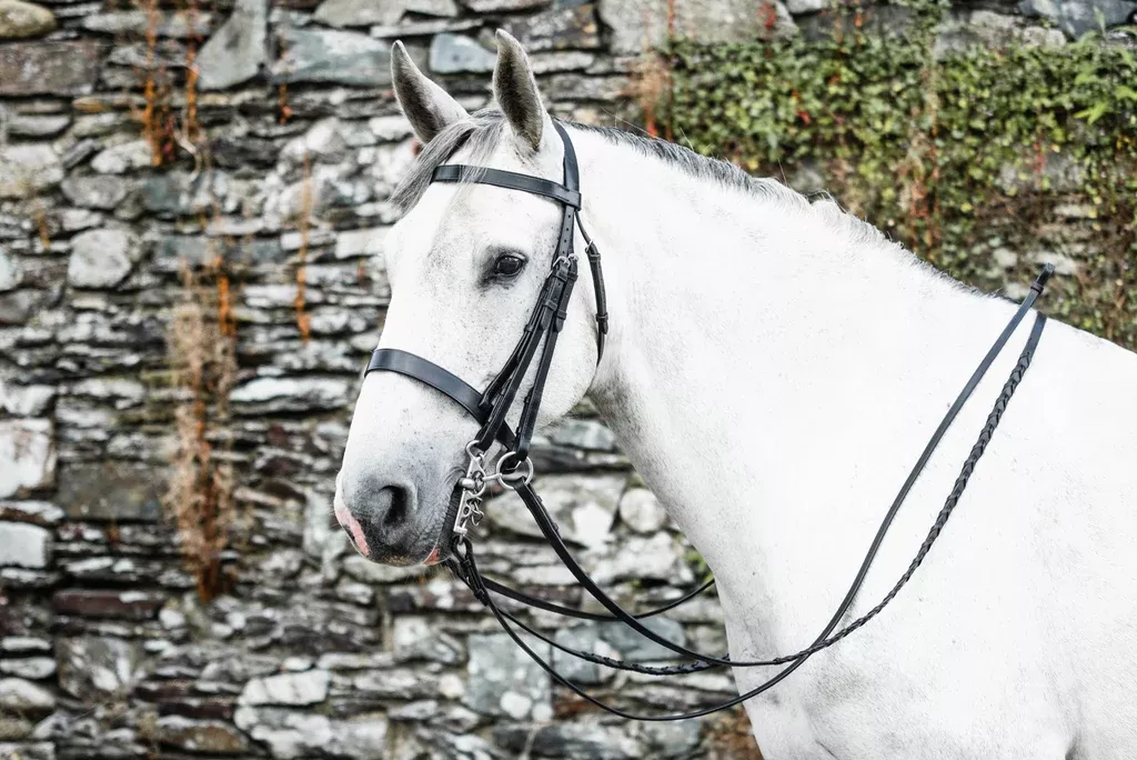 Mackey Classic Double Bridle