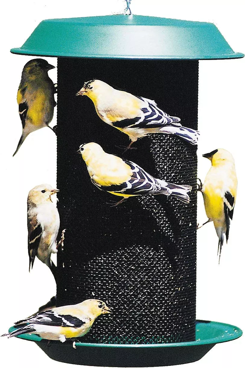 Magnum Plastic Thistle Screen Bird Feeder, 5 Lb Capacity, Green