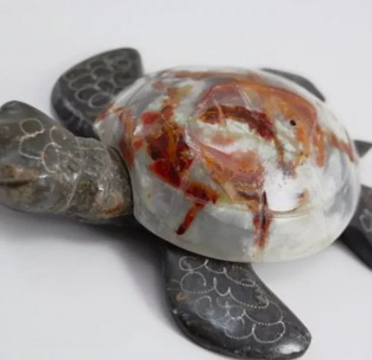 Marble/Onyx Turtles