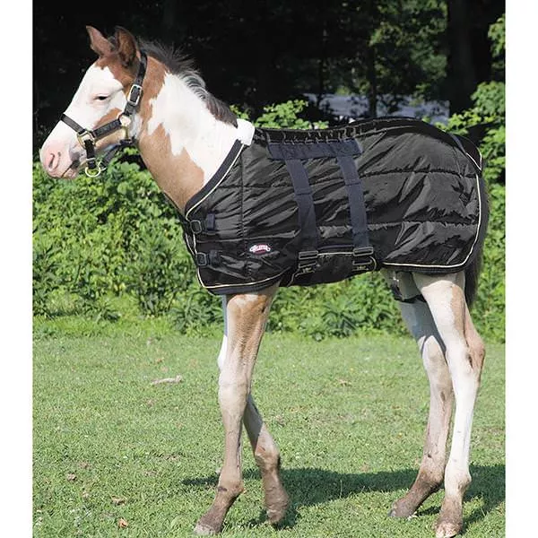 Medium Weight Foal Stable Blanket, 240g Fill, 420 Denier
