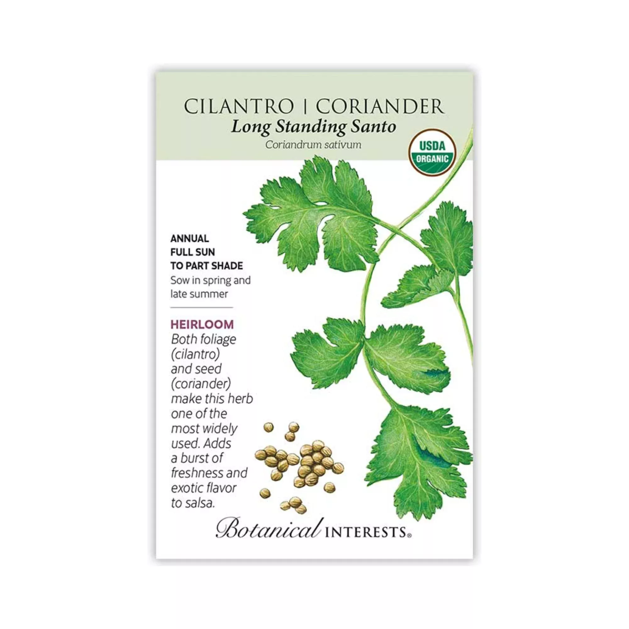 Microgreens Cilantro Santo Organic