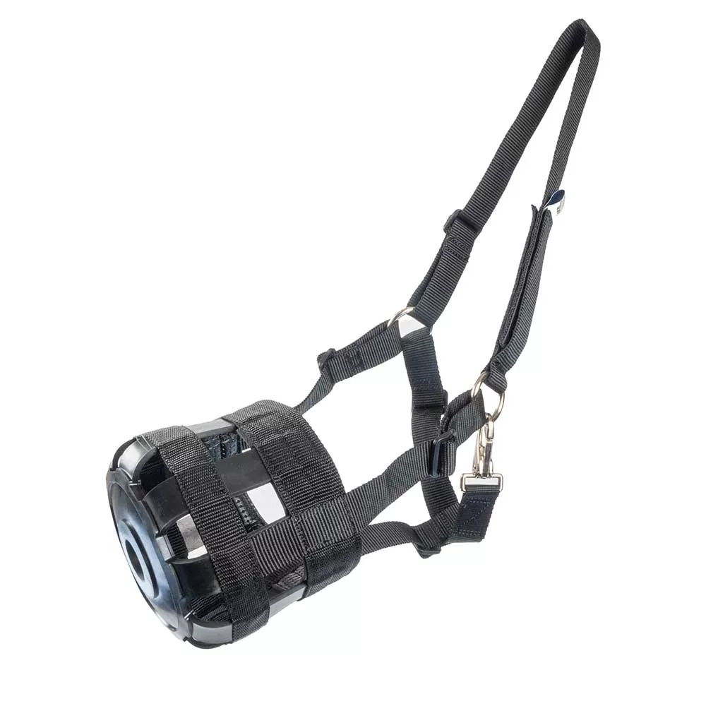 Mini Pony Grazing Muzzle w/ Halter