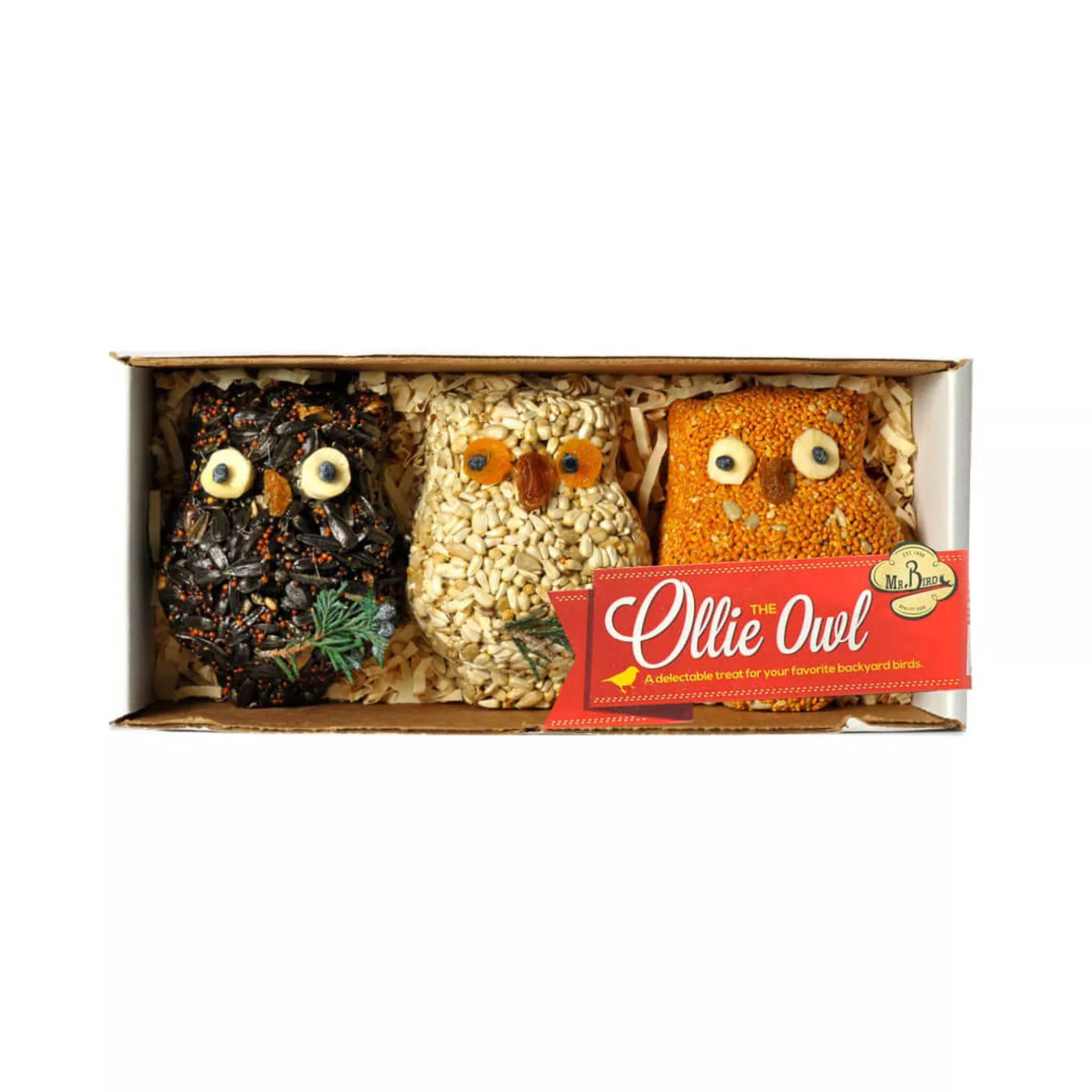 Mr. Bird Ollie the Owl
