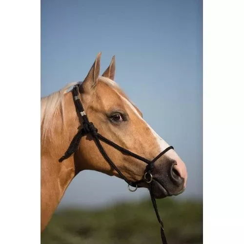 MUSTANG CONTROL HALTER