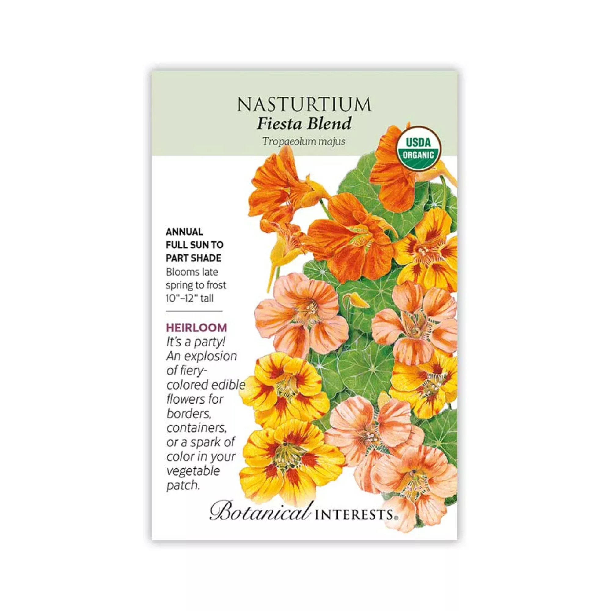 Nasturtium Fiesta Blend