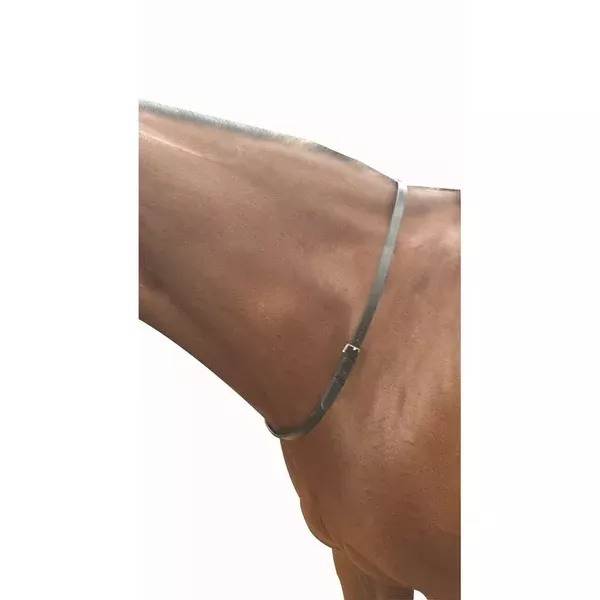NECK STRAP | BLACK| PONY