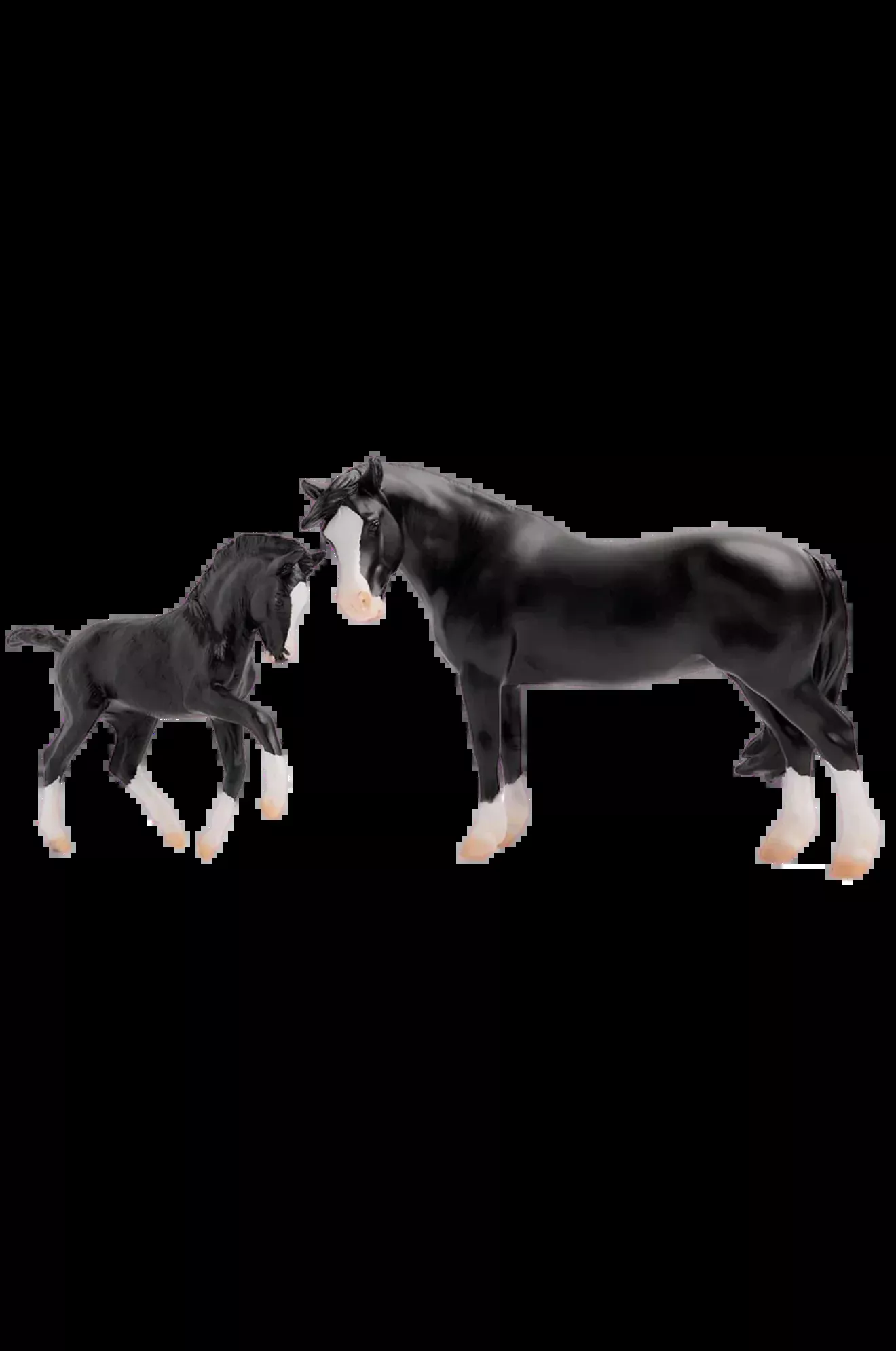 Nistar Blazing Kansas & Ethel