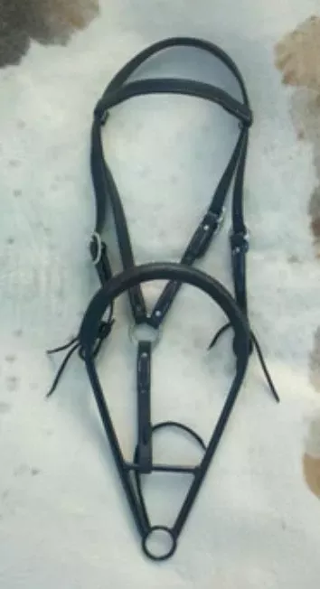 Noavel Headstall