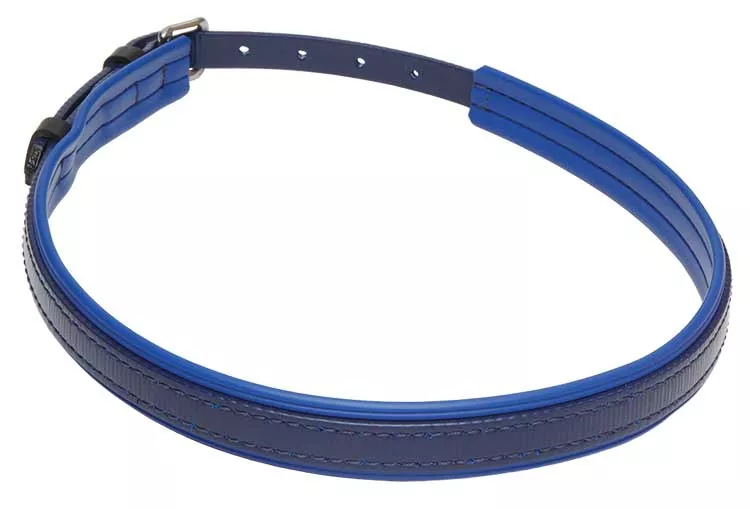 Noseband for Blind