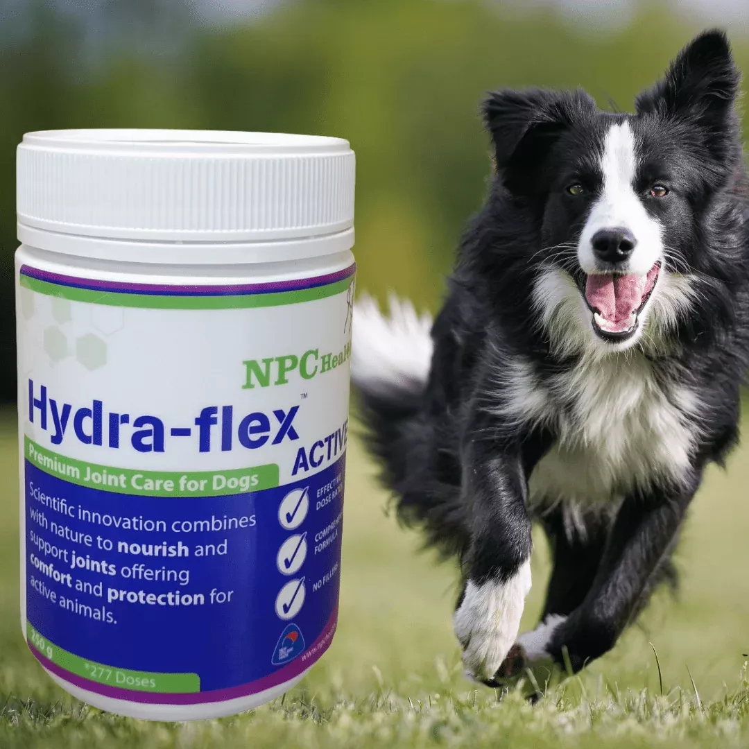 NPC Health Hydra-flex Canine Joint Supplement