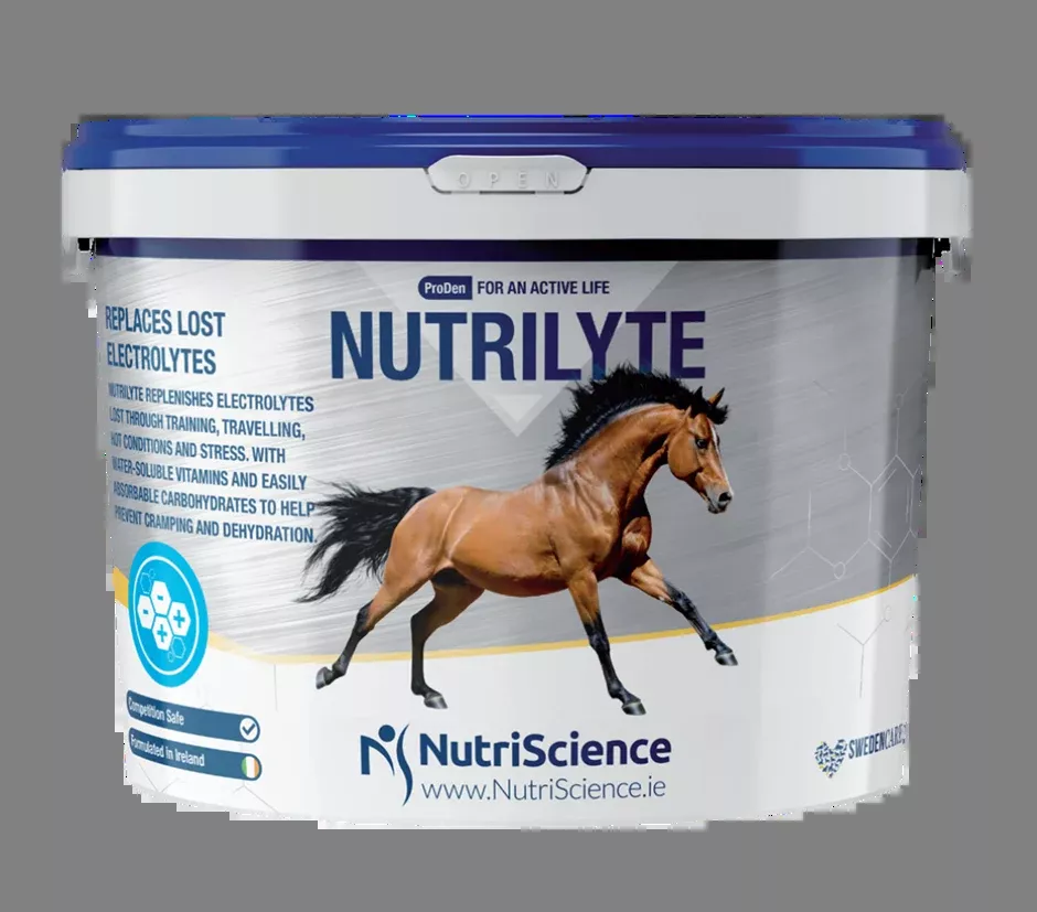 NutriScience NutriLyte Equine